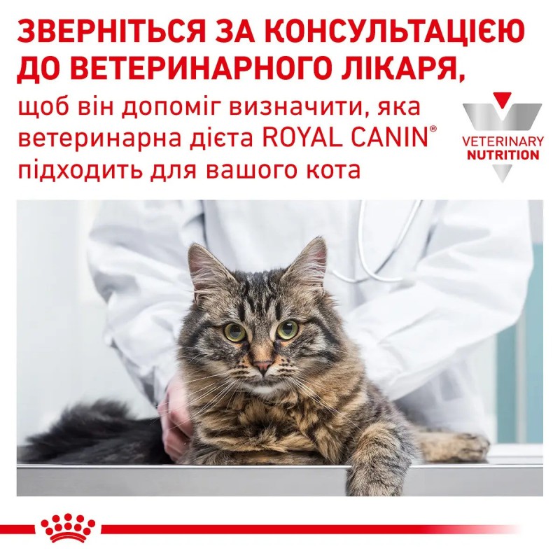 Royal Canin Gastrointestinal 4 кг сухий корм для кішок при порушенні травлення